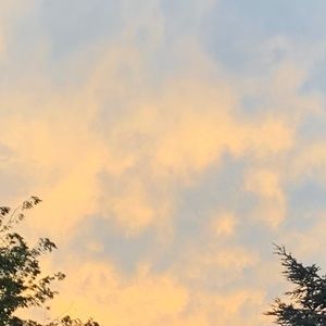 Meet your Posher, Jenessa